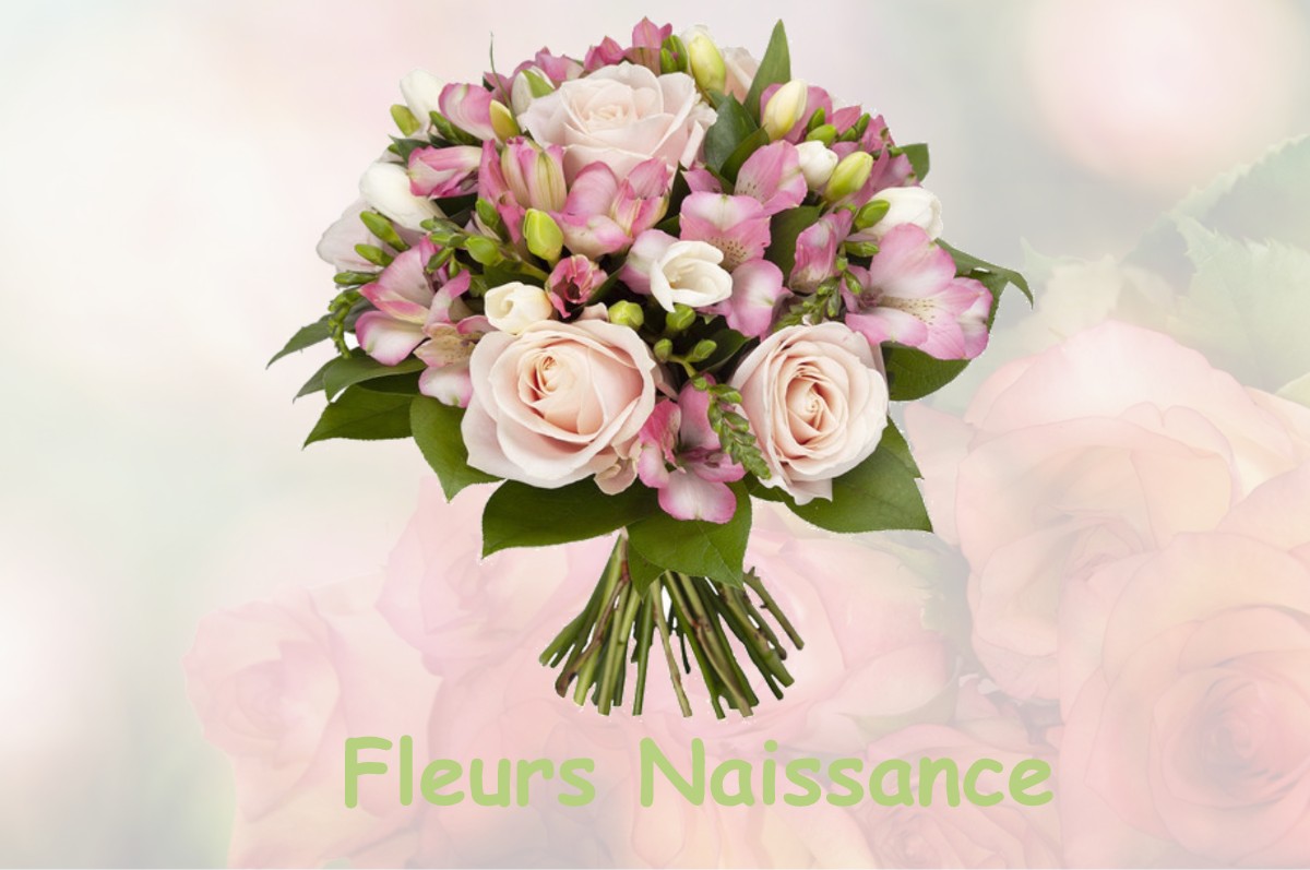 fleurs naissance VILLARIES