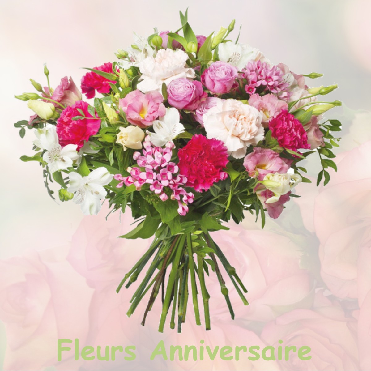 fleurs anniversaire VILLARIES