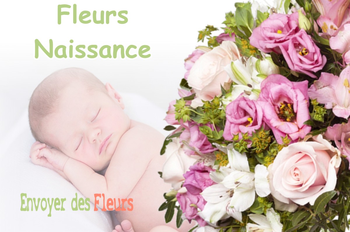 lIVRAISON FLEURS NAISSANCE à VILLARIES