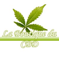 LA BOUTIQUE DU CBD VILLARIES 